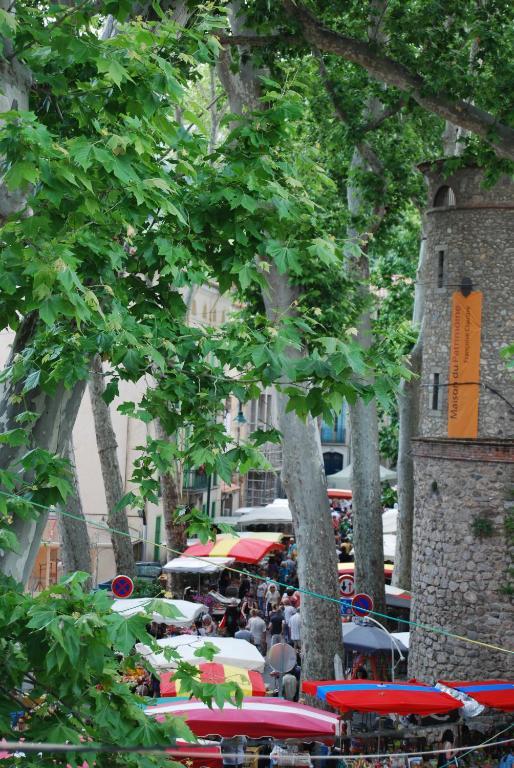 Hotel Vidal Céret Exteriér fotografie